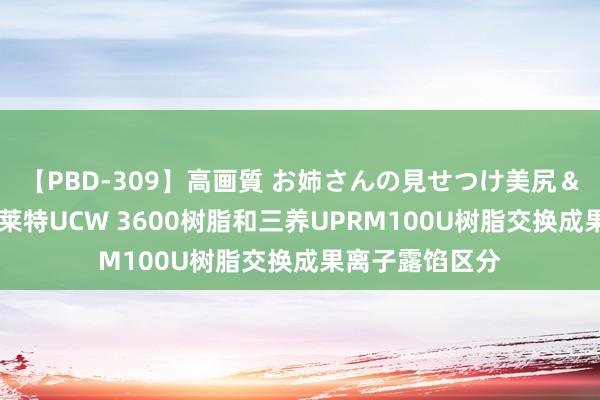 【PBD-309】高画質 お姉さんの見せつけ美尻＆美脚の誘惑 漂莱特UCW 3600树脂和三养UPRM100U树脂交换成果离子露馅区分