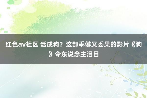 红色av社区 活成狗？这部乖僻又委果的影片《狗》令东说念主泪目