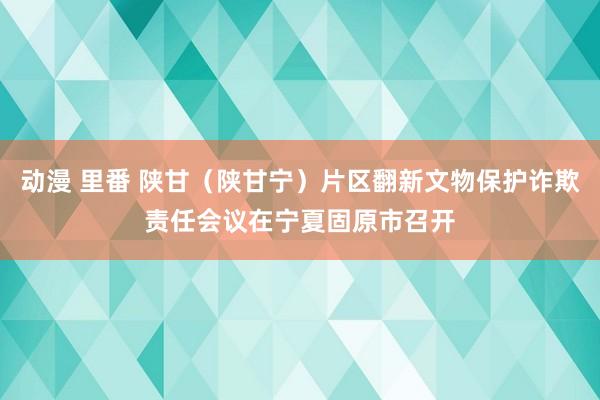 动漫 里番 陕甘（陕甘宁）片区翻新文物保护诈欺责任会议在宁夏固原市召开