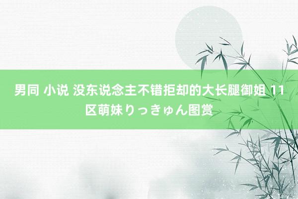 男同 小说 没东说念主不错拒却的大长腿御姐 11区萌妹りっきゅん图赏